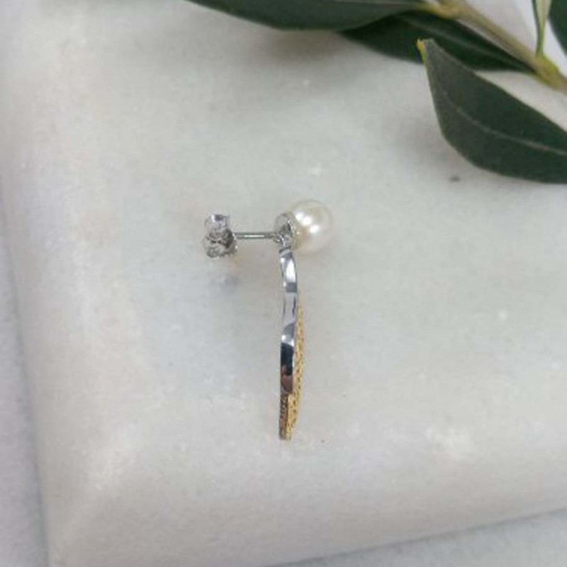 Earrings in the shape of Wings in K14 Gold and Silver 925ᵒ Earrings